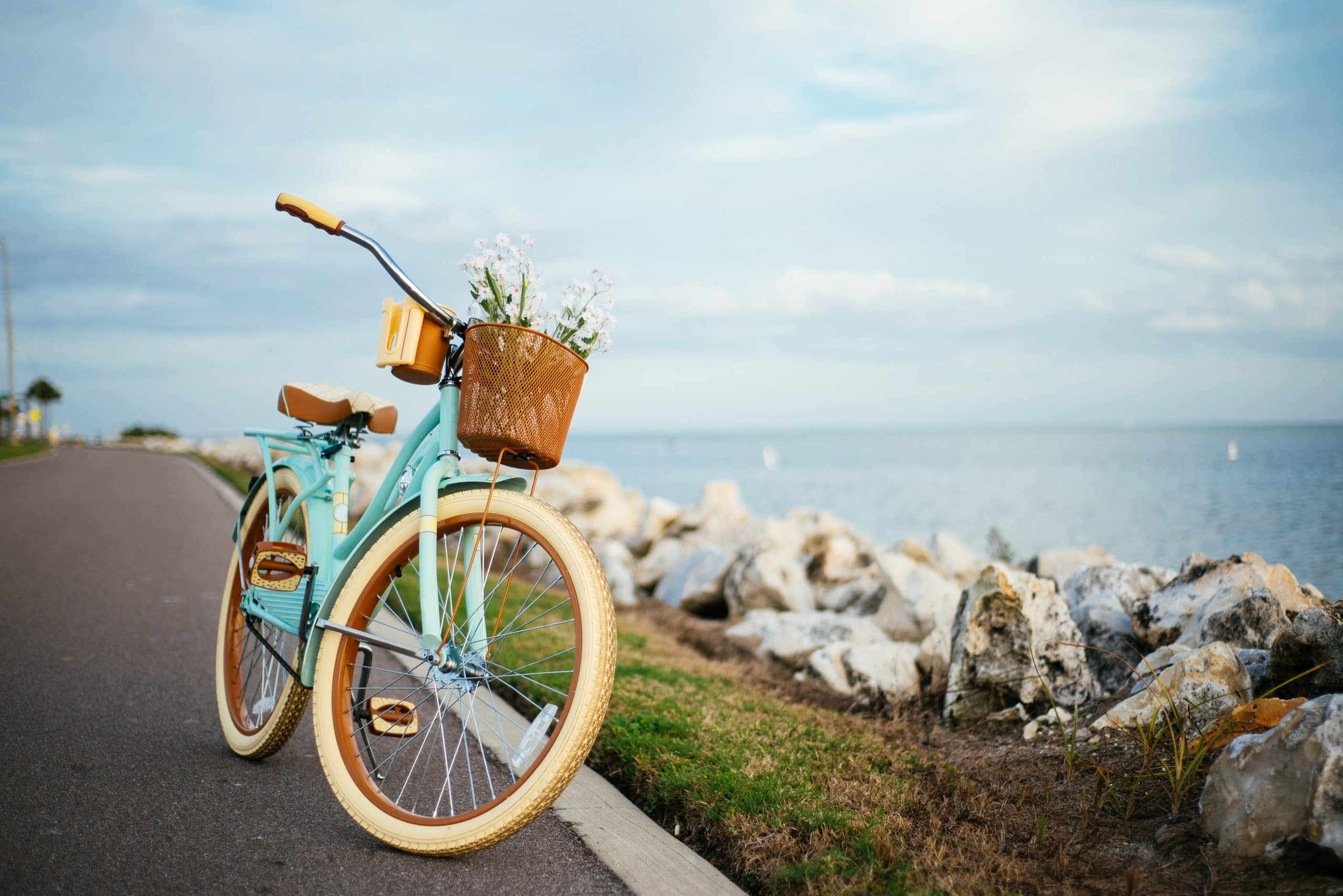 An Overview of Cruiser Bikes An Overview of Cruiser Bikes