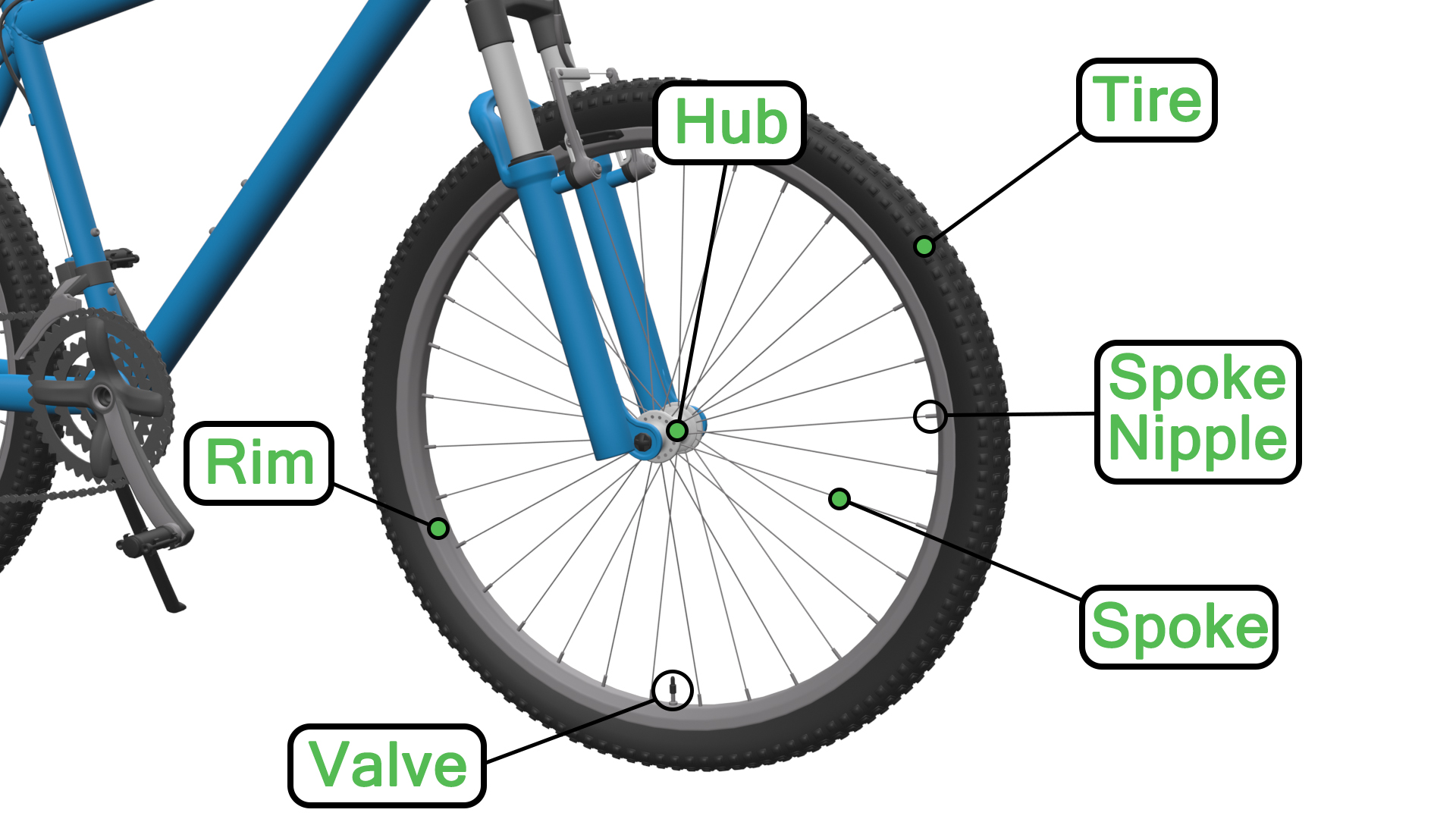 Parts of A Bike Diagram | The Bicycle Anatomy Guide For All